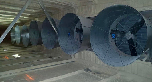 Bigger Fans Are Not Always Better