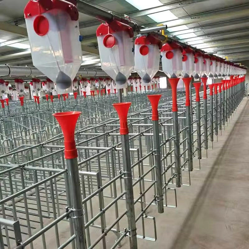 Which Equipment Upgrades Pay Back First in 500–3000 Head Pig Farms?