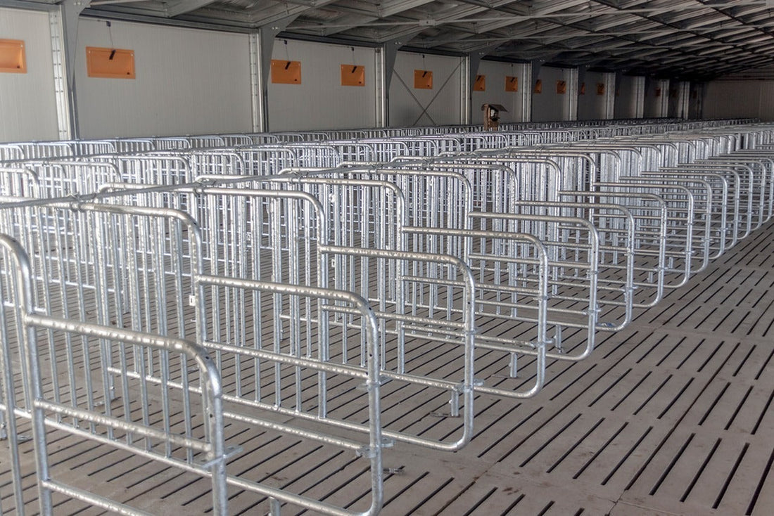 Why Do Many Pig Farms Have “Complete Equipment” but Still Struggle With Low Management Efficiency?