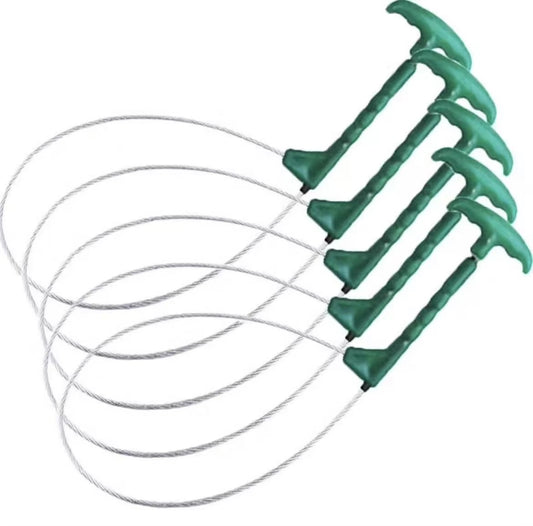 Professional Plastic Handle Hog Restraint Tool - 70cm Snare for Safe Vaccination & Ear Notching