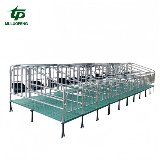 Durable Galvanized Sow Farrowing Crate – Gestation Pen Breeding Equipment