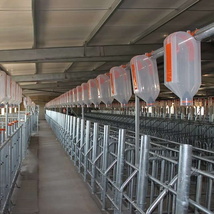 Automatic Chain Disk Feeding System for Pig Farms