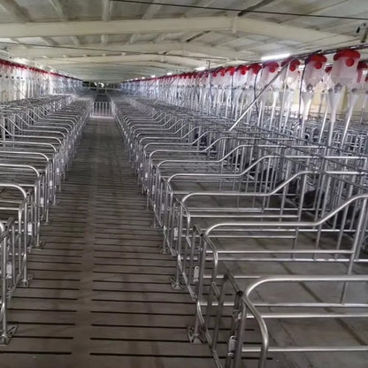 Automatic Chain Disk Feeding System for Pig Farms