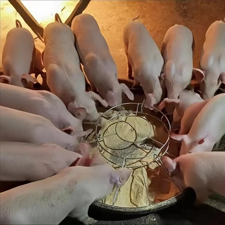 Galvanized Heavy-Duty Pig Feeder Frame: Anti-Rust, Sow-Safe, Easy Assembly for Efficient Swine Farming