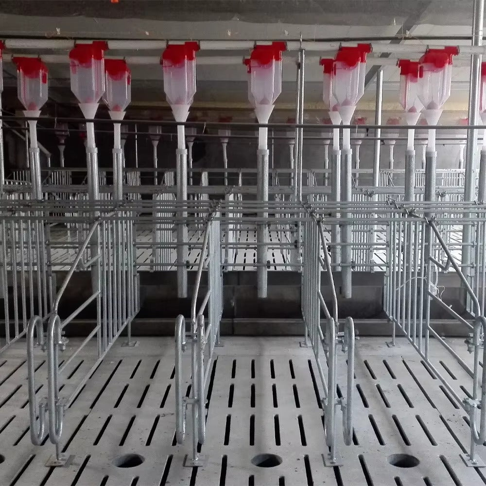 Automatic Chain Disk Feeding System for Pig Farms