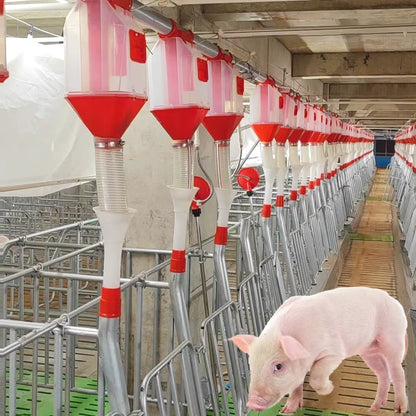 Automatic Chain Disk Feeding System for Pig Farms